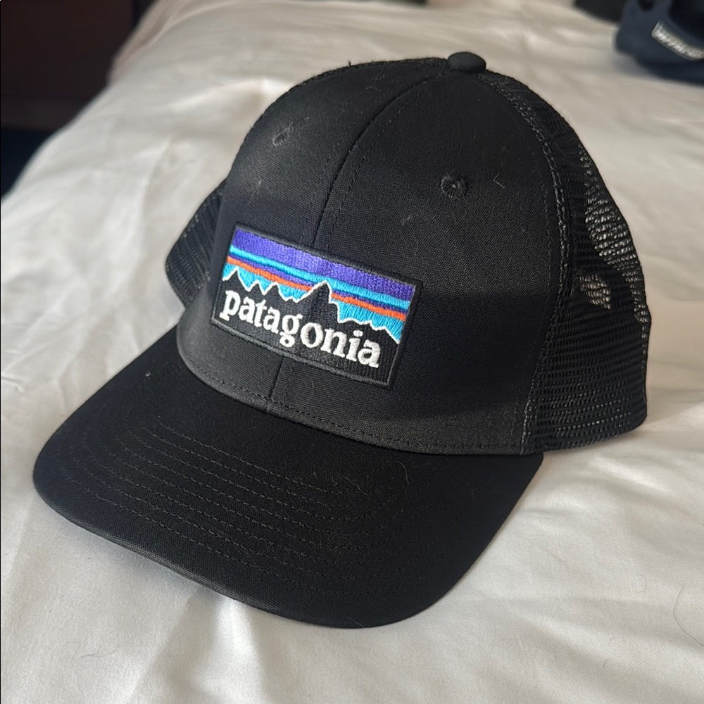 Patagonia Black Mesh Cap
